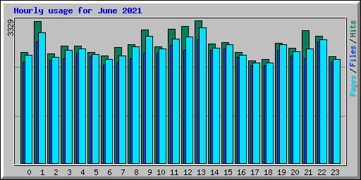 Hourly usage for June 2021
