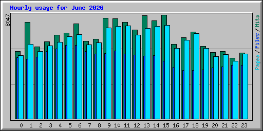 Hourly usage for June 2026